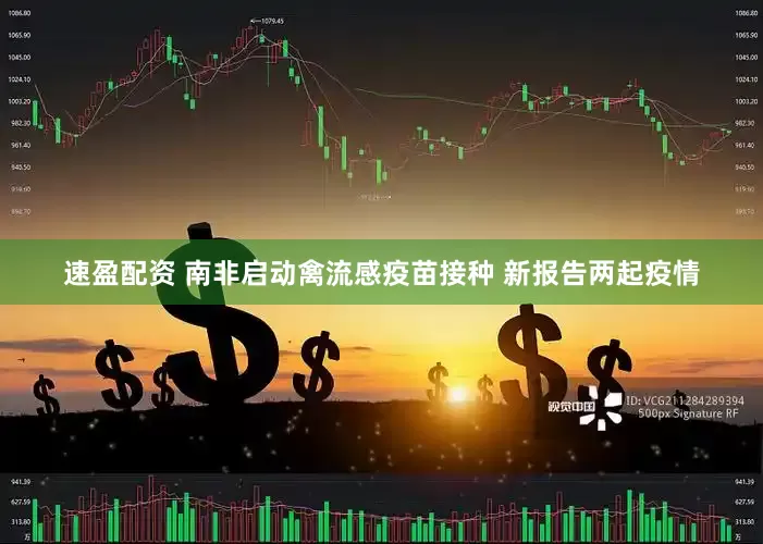 速盈配资 南非启动禽流感疫苗接种 新报告两起疫情