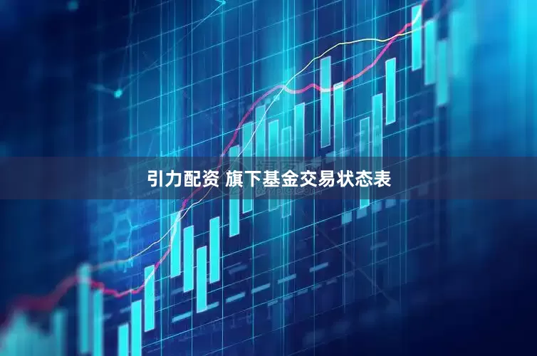引力配资 旗下基金交易状态表