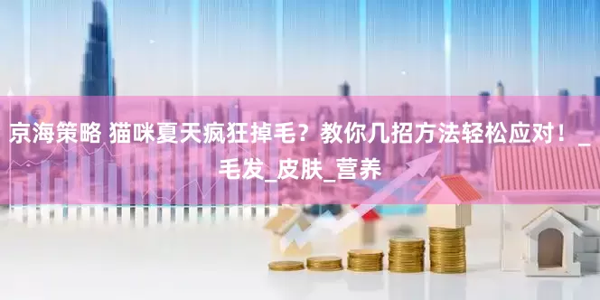 京海策略 猫咪夏天疯狂掉毛？教你几招方法轻松应对！_毛发_皮肤_营养