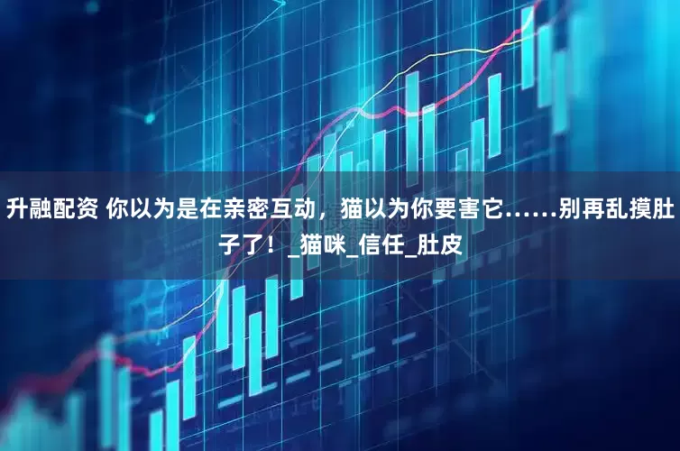 升融配资 你以为是在亲密互动，猫以为你要害它……别再乱摸肚子了！_猫咪_信任_肚皮