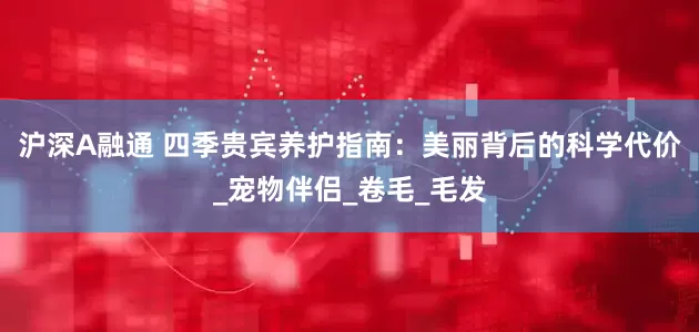 沪深A融通 四季贵宾养护指南：美丽背后的科学代价_宠物伴侣_卷毛_毛发