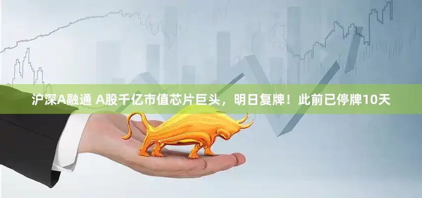 沪深A融通 A股千亿市值芯片巨头，明日复牌！此前已停牌10天