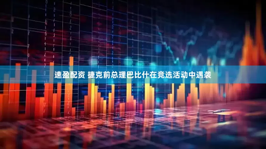 速盈配资 捷克前总理巴比什在竞选活动中遇袭