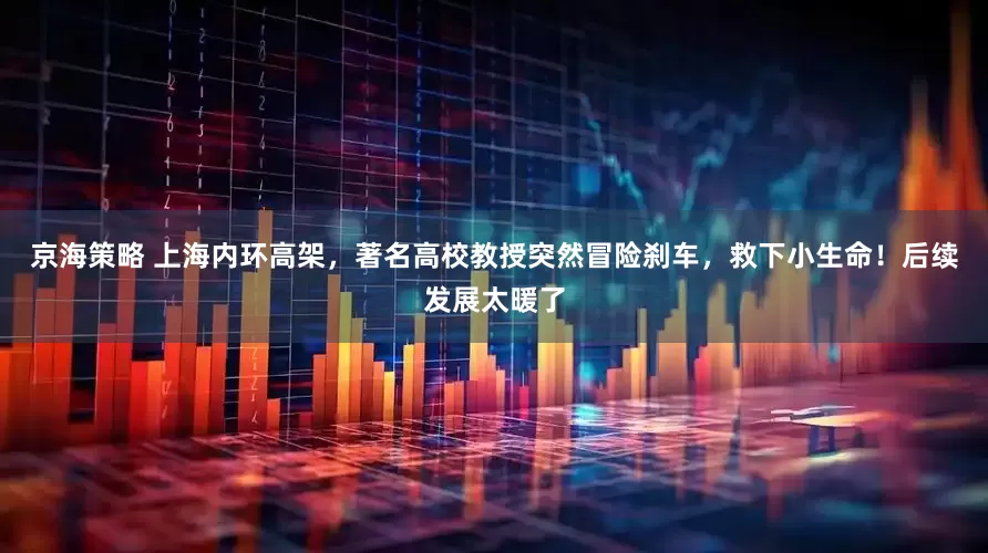 京海策略 上海内环高架，著名高校教授突然冒险刹车，救下小生命！后续发展太暖了