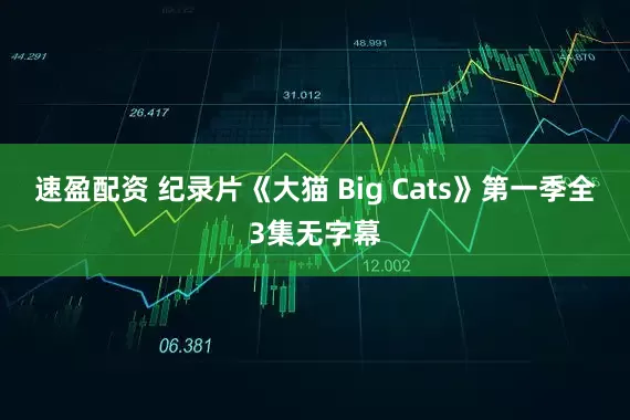 速盈配资 纪录片《大猫 Big Cats》第一季全3集无字幕